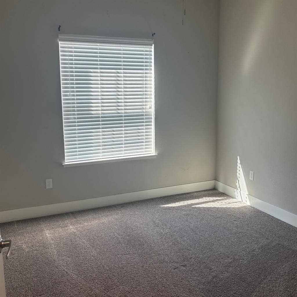 Need young female roommate