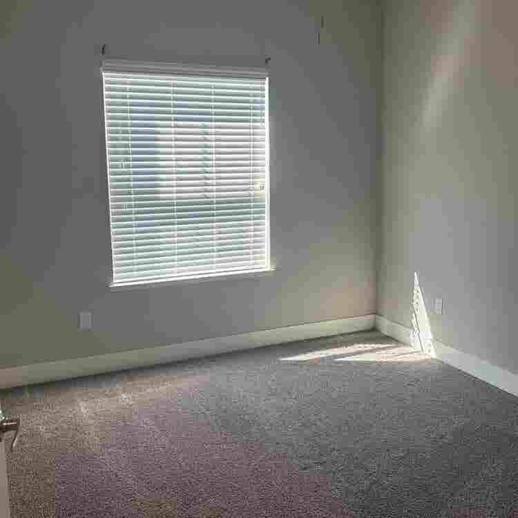 Need young female roommate