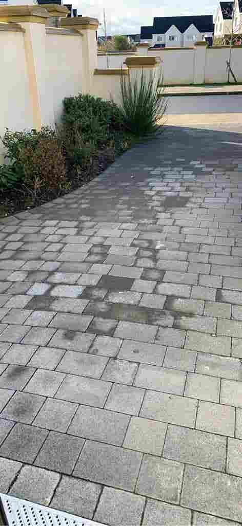 Room for vegan or lacto vegetarian.