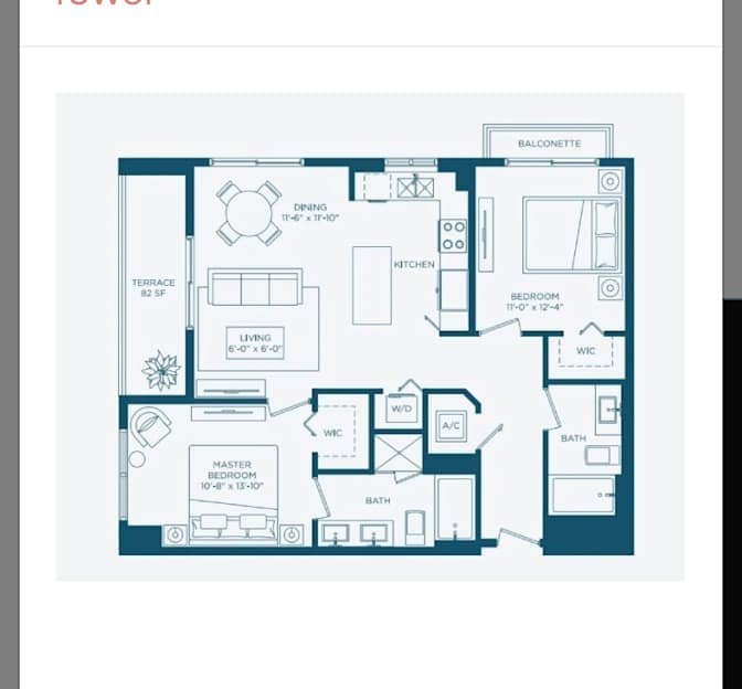 Looking for a roommate