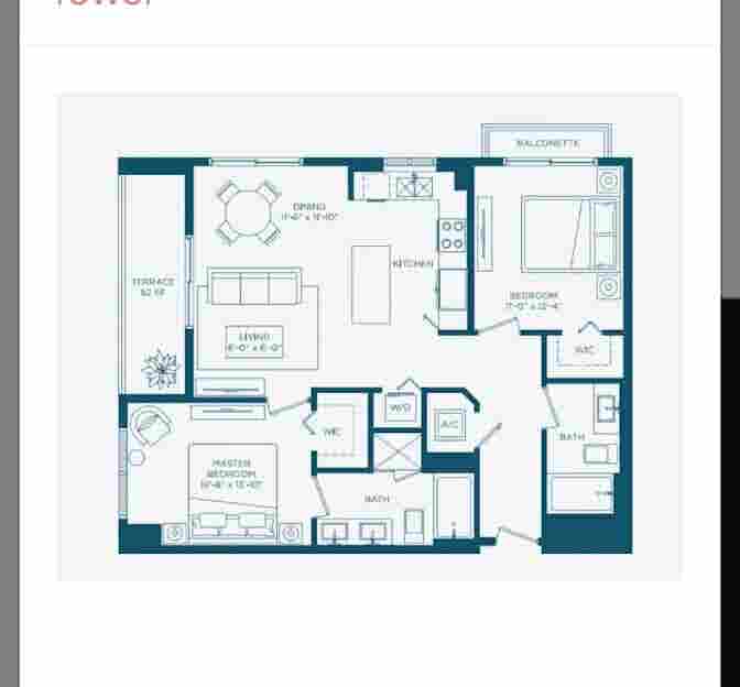 Looking for a roommate
