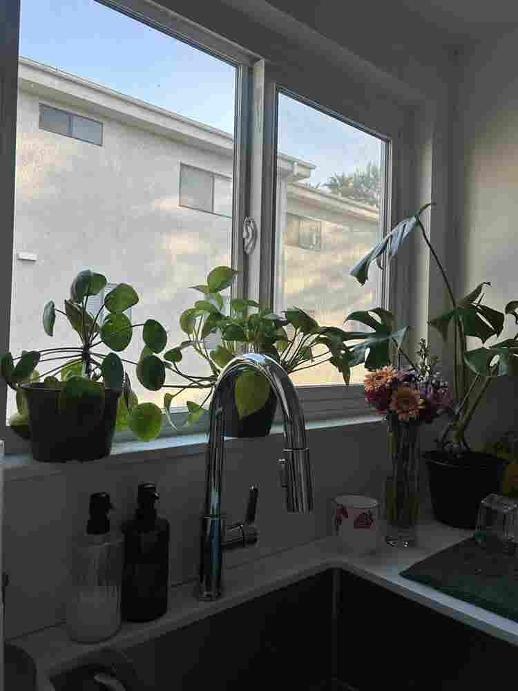Looking for Roommate !!