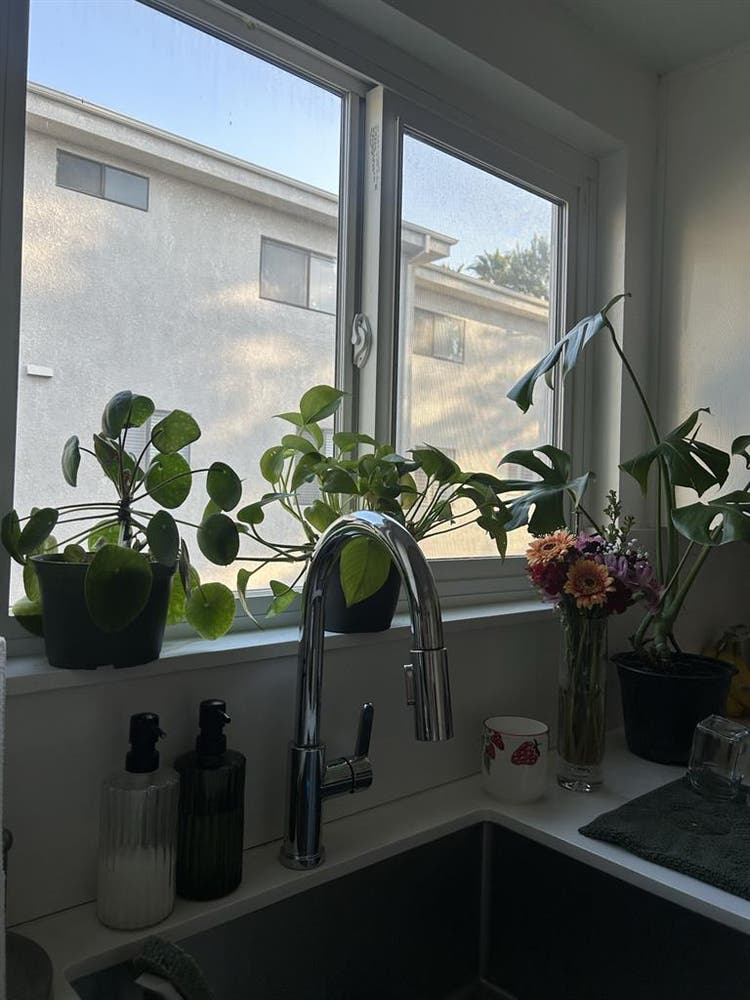Looking for Roommate !!