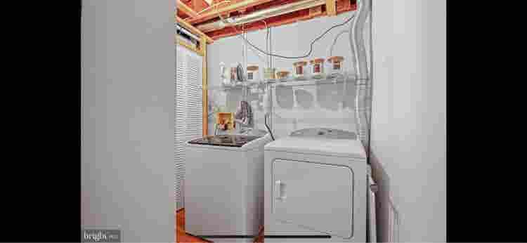Walk-In 1BR Basement Apt + Parking