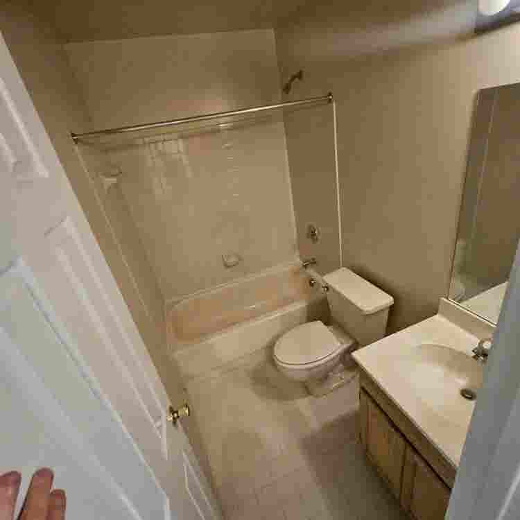 Basement for rent