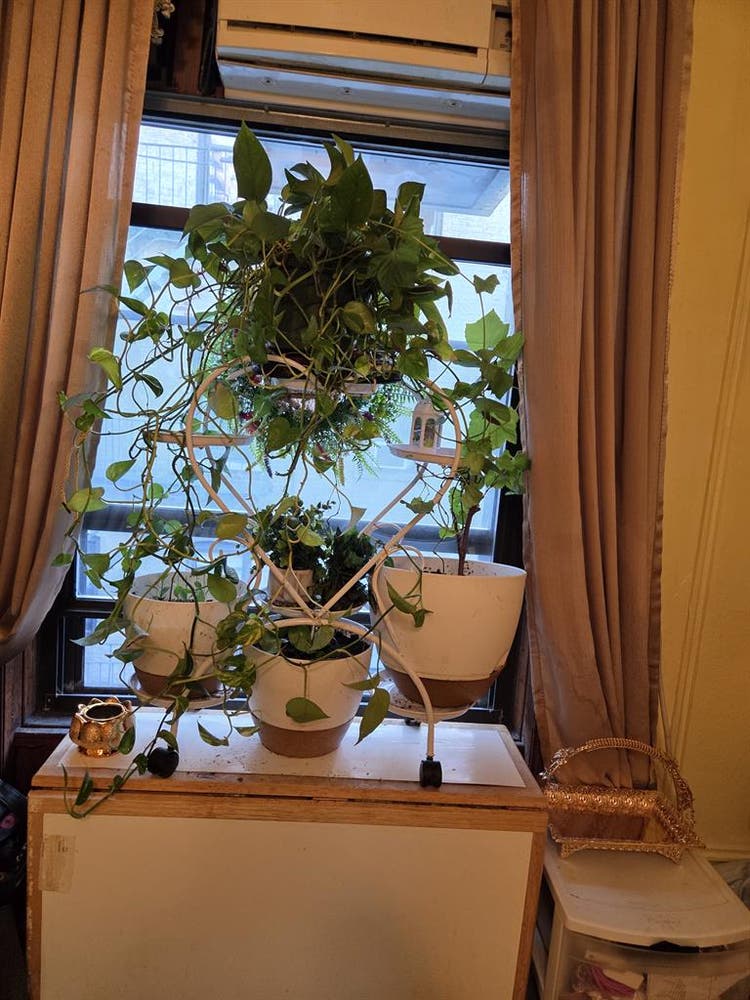 New Listing