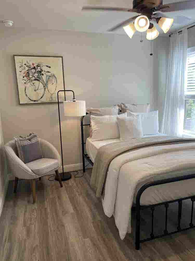 Cozy and Comfy Modern Room