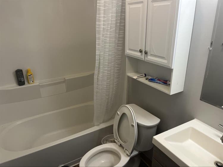 UConn storrs, looking for roommate!