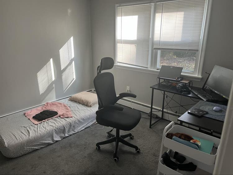 UConn storrs, looking for roommate!