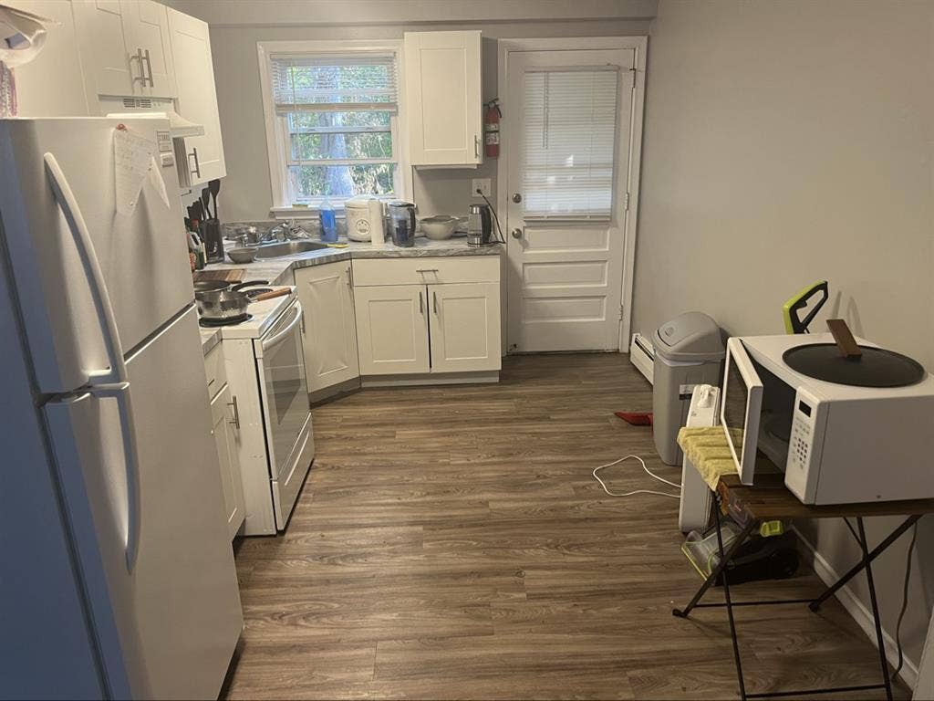 UConn storrs, looking for roommate!