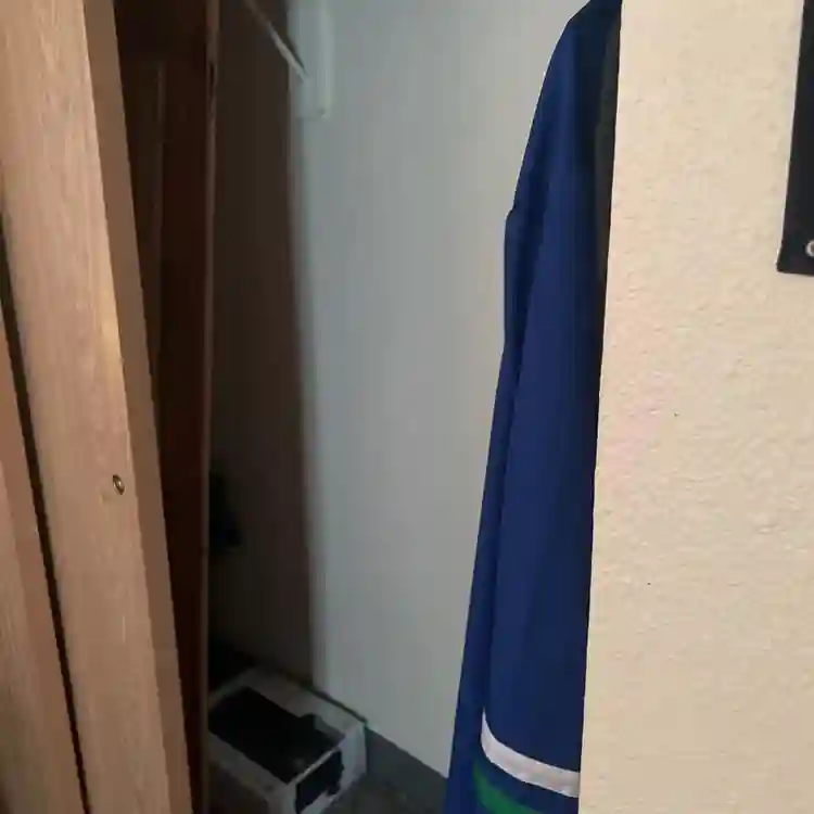 looking for roommate to renew lease