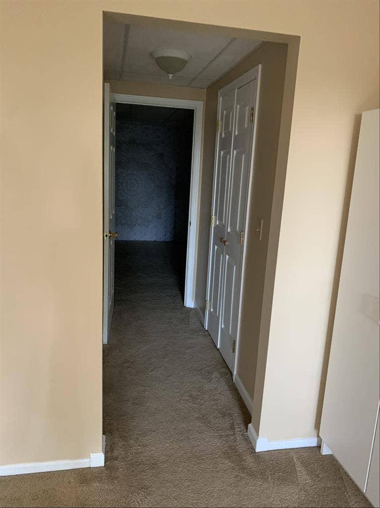 Female Roommate for private floor