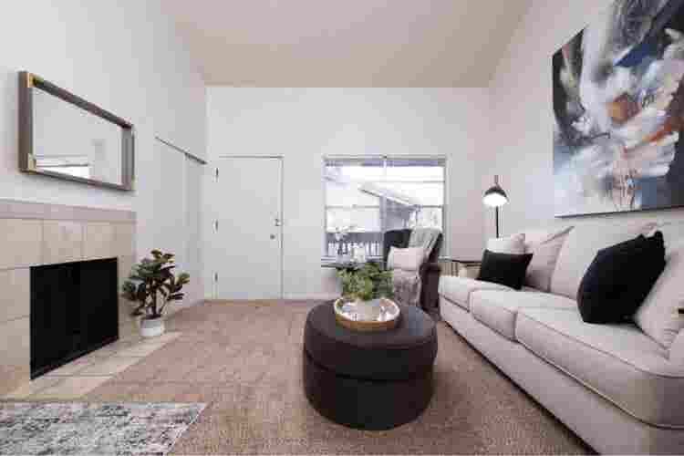 Looking for a clean roommate