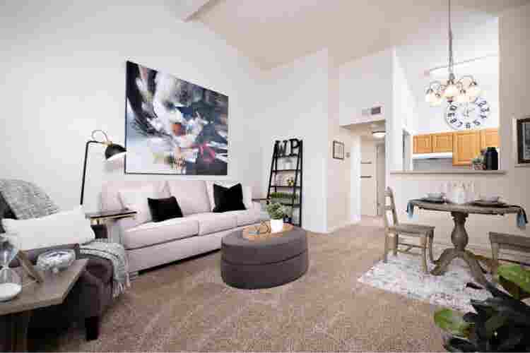 Looking for a clean roommate