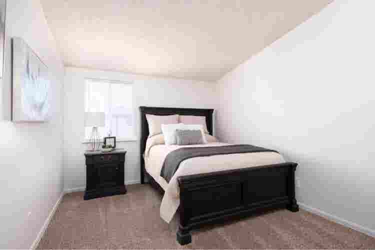 Looking for a clean roommate