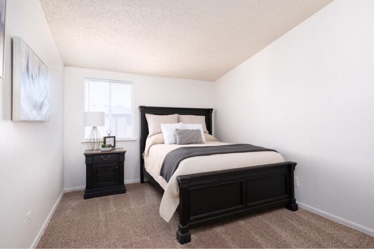 Looking for a clean roommate