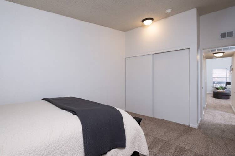 Looking for a clean roommate