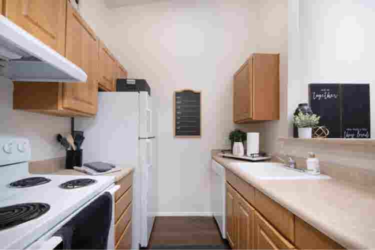 Looking for a clean roommate