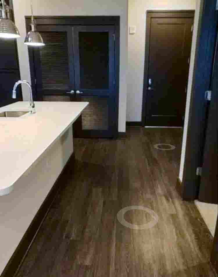 Need Female Roommate Capitol View