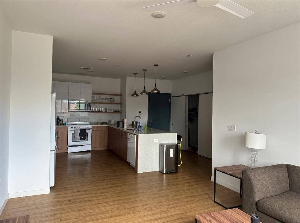 The Rive apartment sublease spring