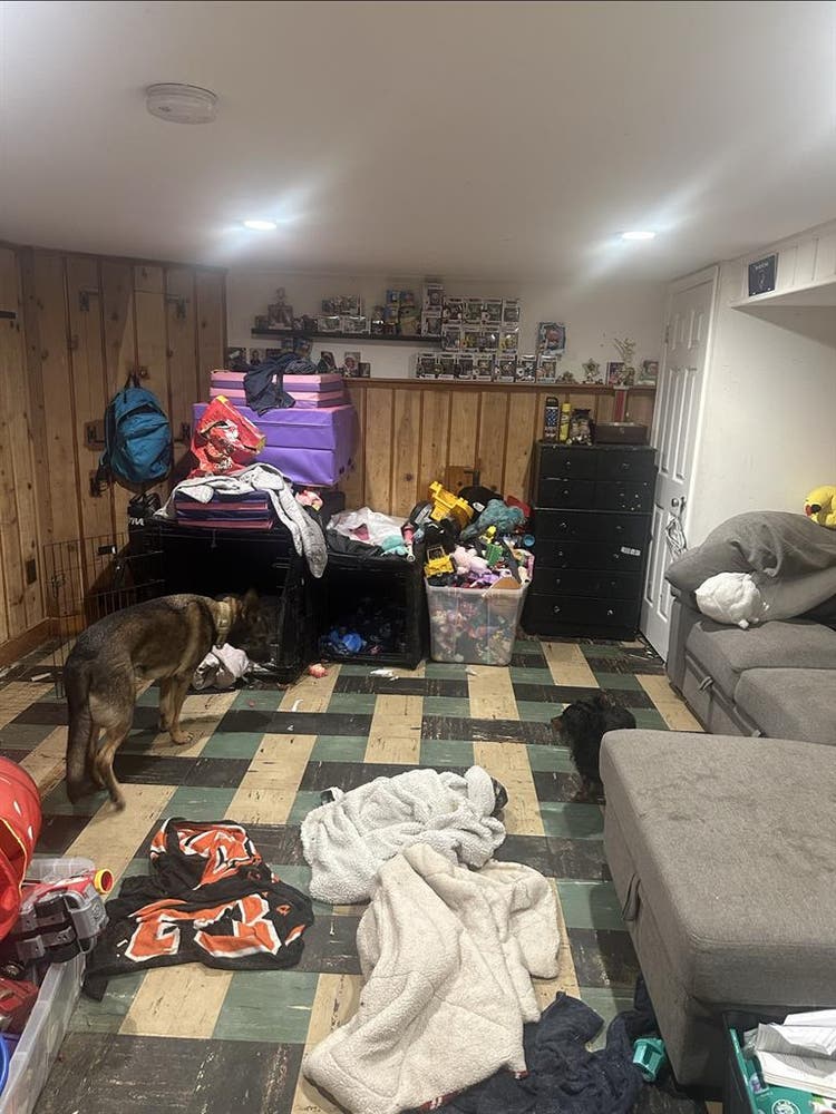 Basement for rent utilities inc