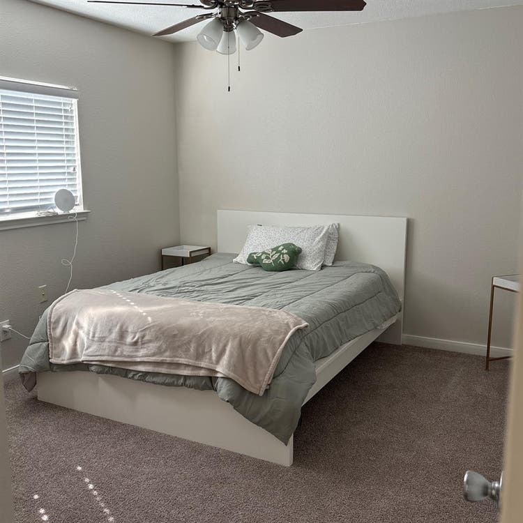Roommate Wanted