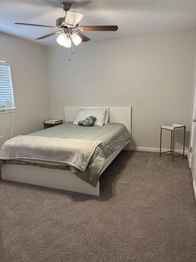 Roommate Wanted