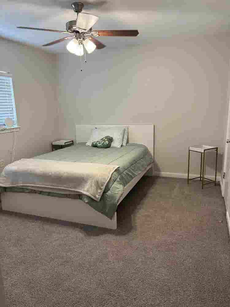 Roommate Wanted
