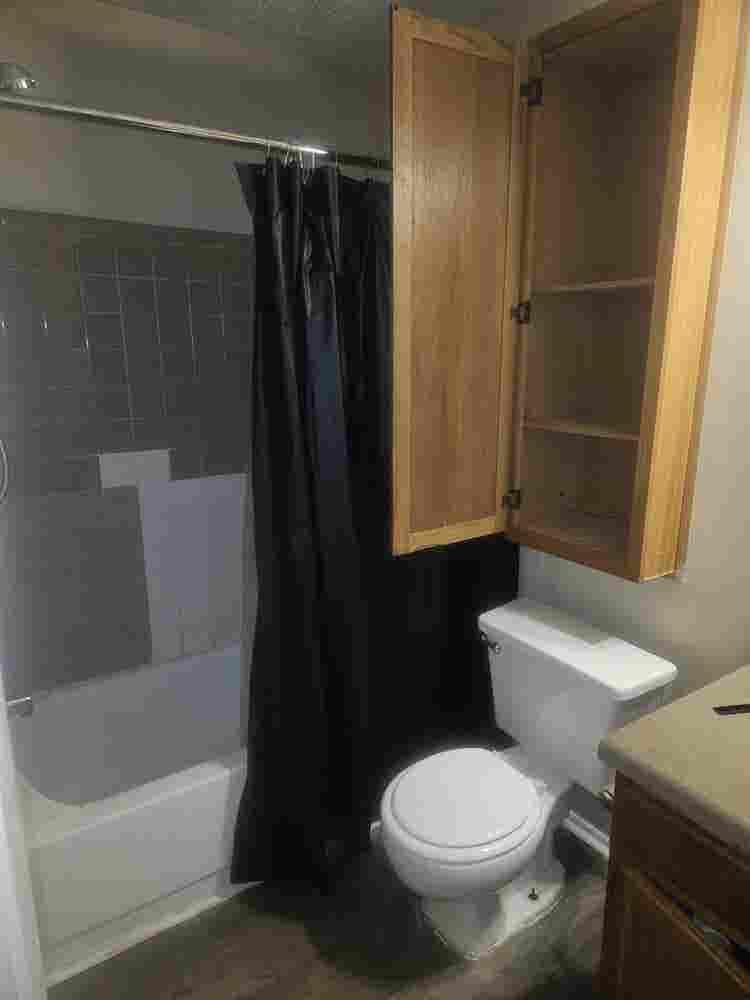 Need roomate