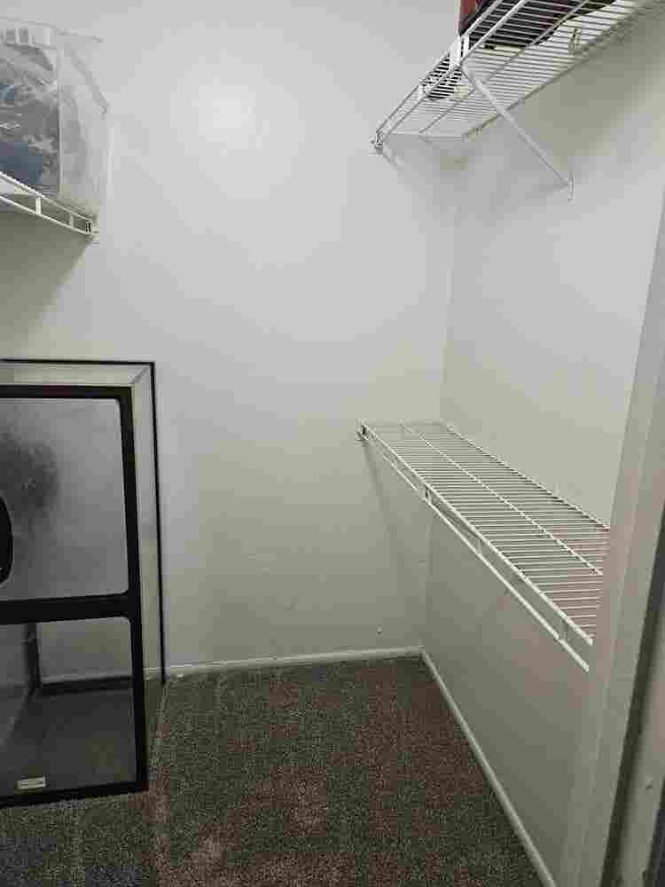 Need roomate