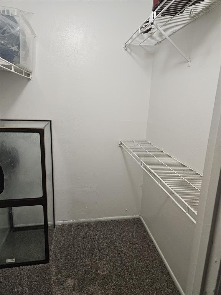 Need roomate