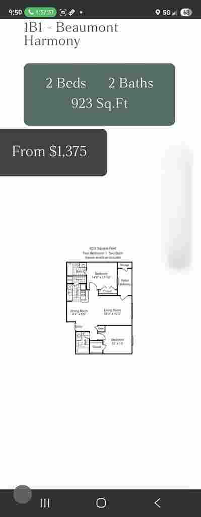 Need roomate
