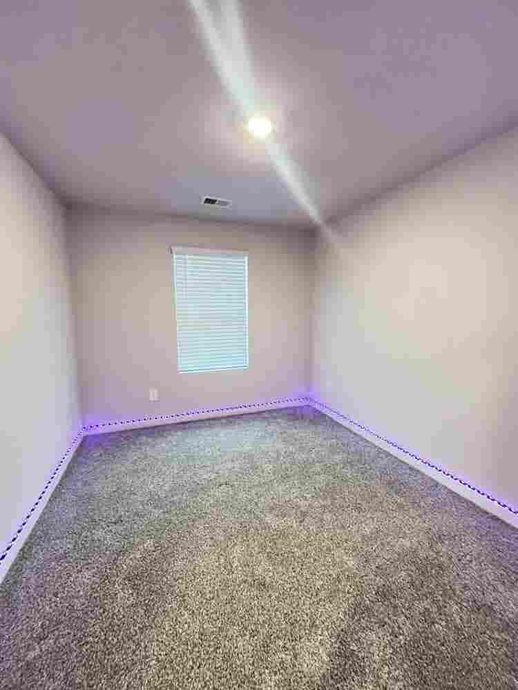 Room for Rent (female only)