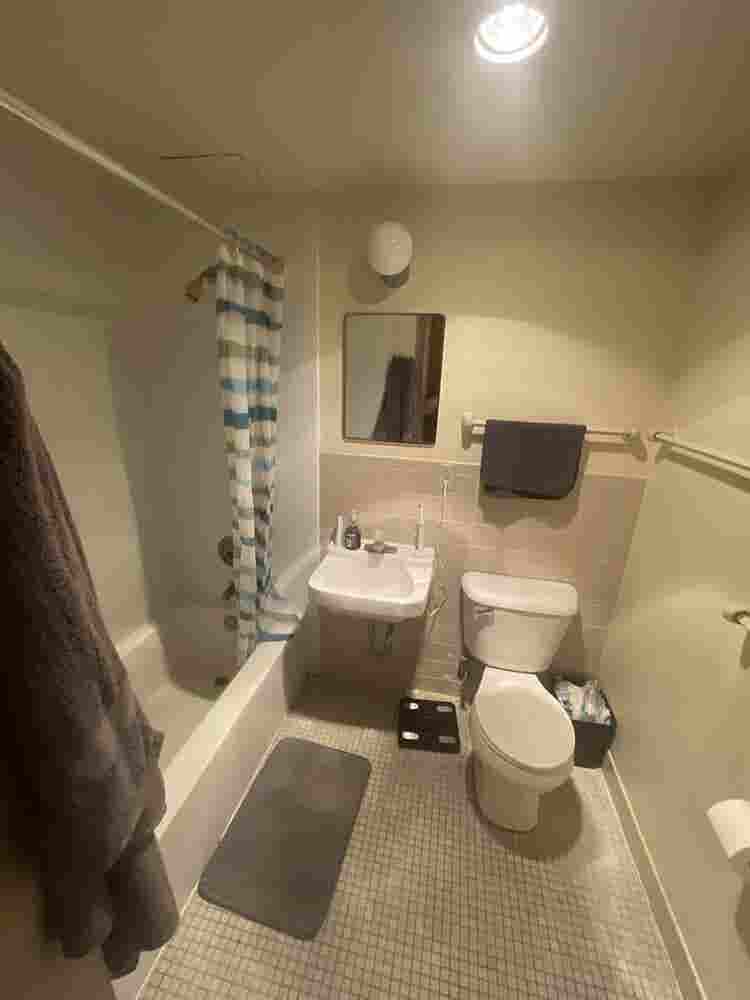 1 bedroom sublease downtown $