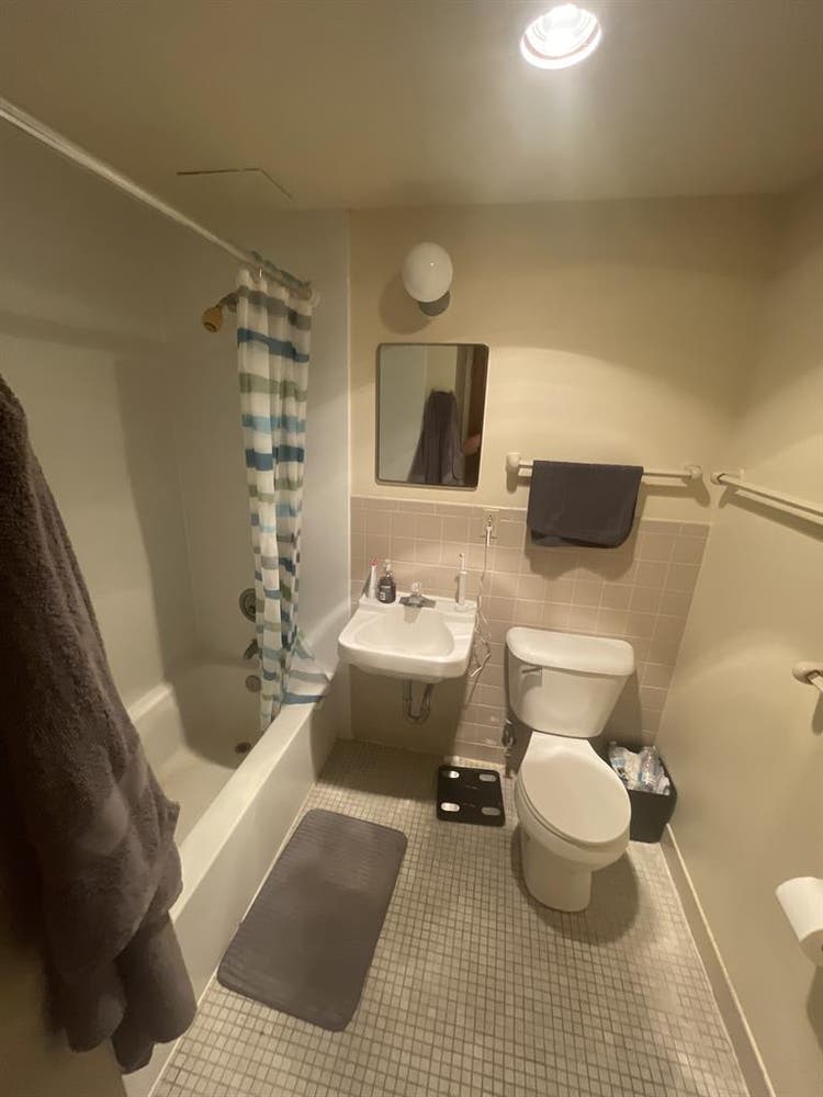 1 bedroom sublease downtown $