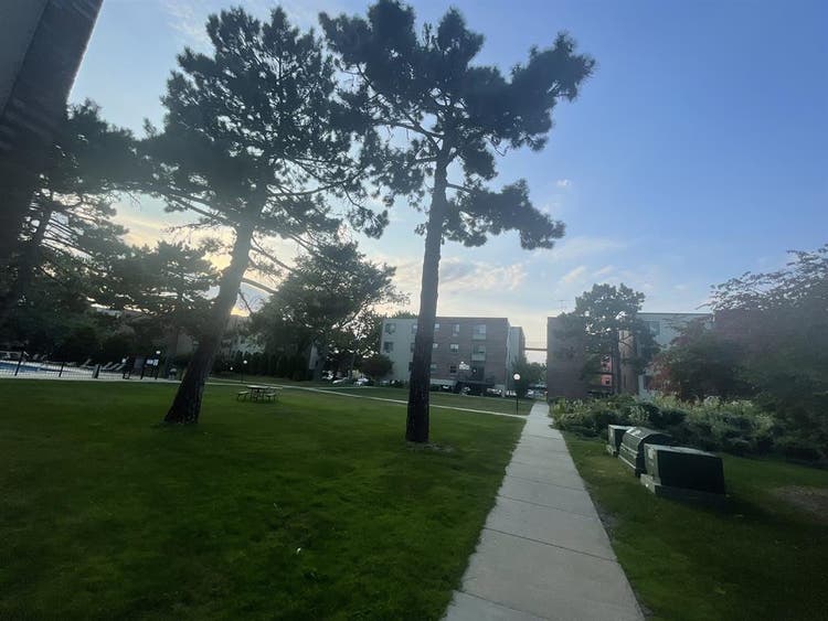 1 bedroom sublease downtown $