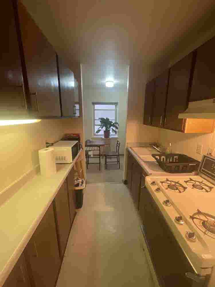 1 bedroom sublease downtown $