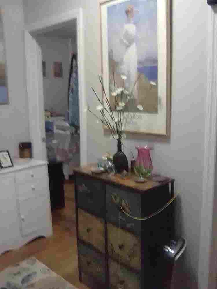 Female to share large apartment.