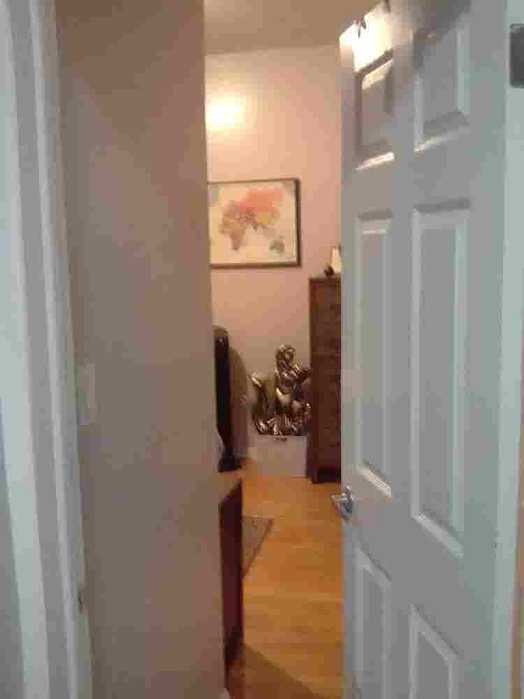 Female to share large apartment.