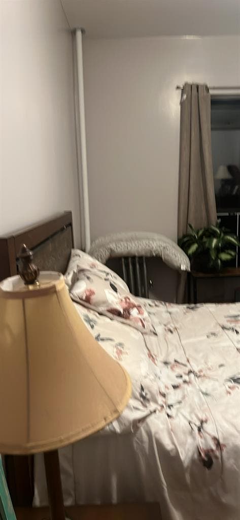 Female to share large apartment.