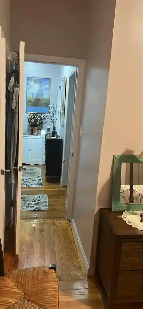 Female to share large apartment.