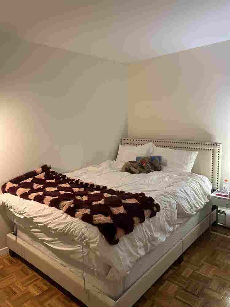 Amazing Three Bed in Dexter Park