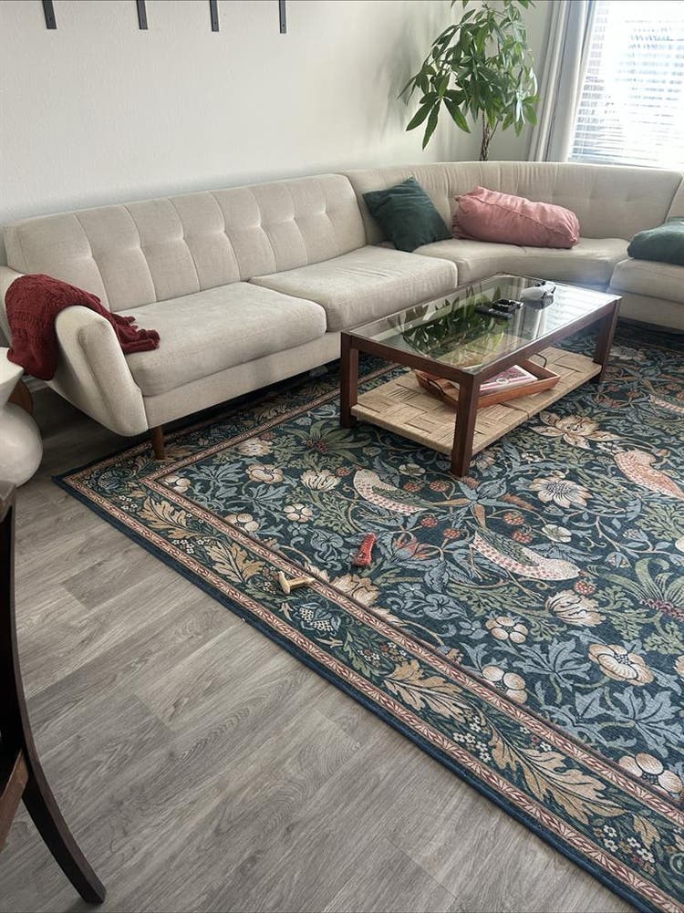 Room Available in Spacious New Home