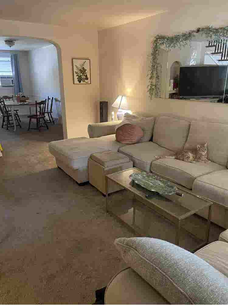 2 Rooms Available- Steps from Wider