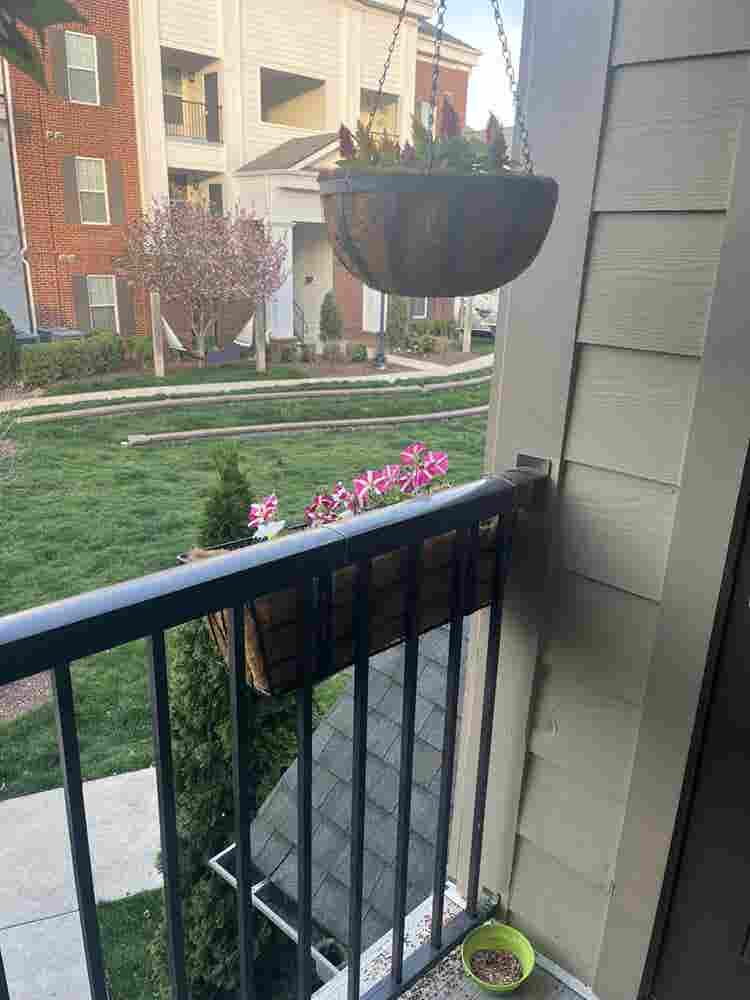 South-East Franklin Roommate