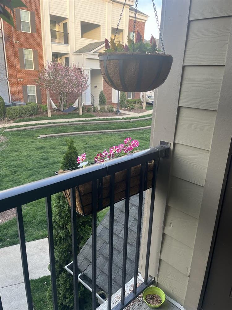 South-East Franklin Roommate