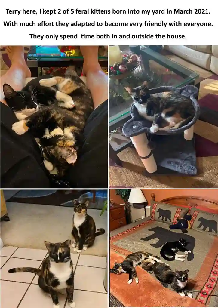 Nice Furn Rm in Comfy Hm-See Pics!