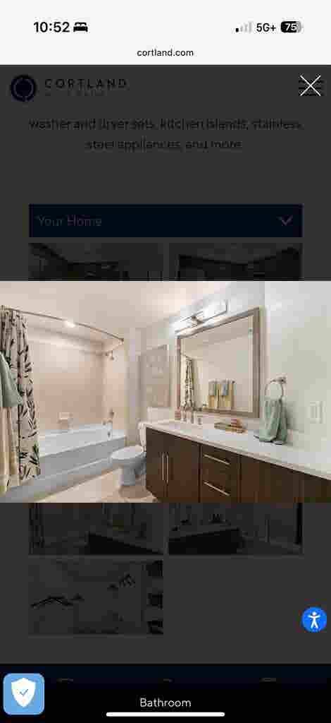 Looking for a roommate!