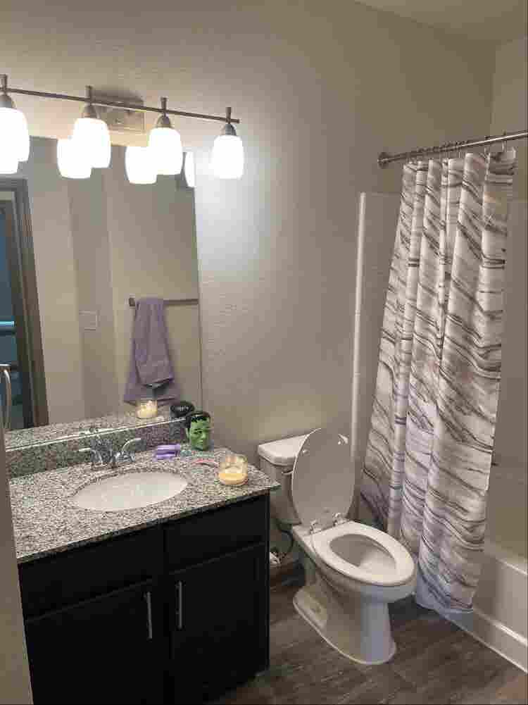 Looking for a roommate!