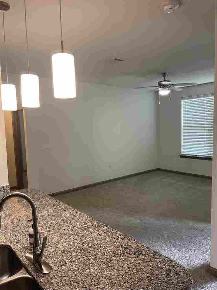 Looking for a roommate!